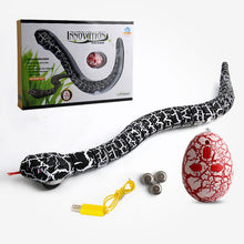 Tricky Toys, New Exotic Toys