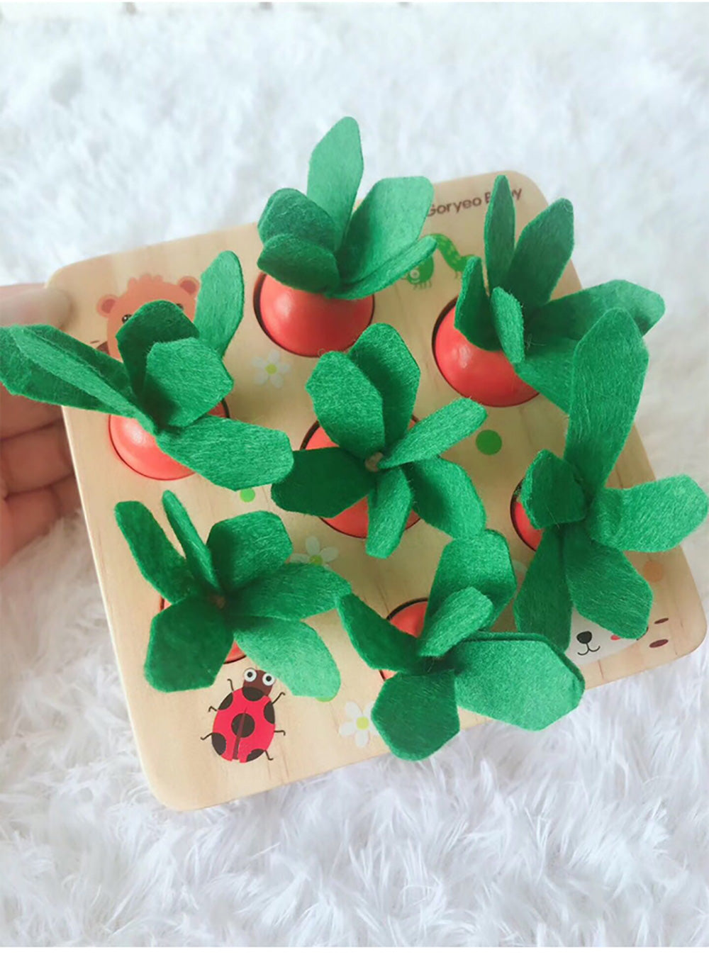 Pollution Free Products Educational toys