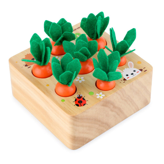 Pollution Free Products Educational toys